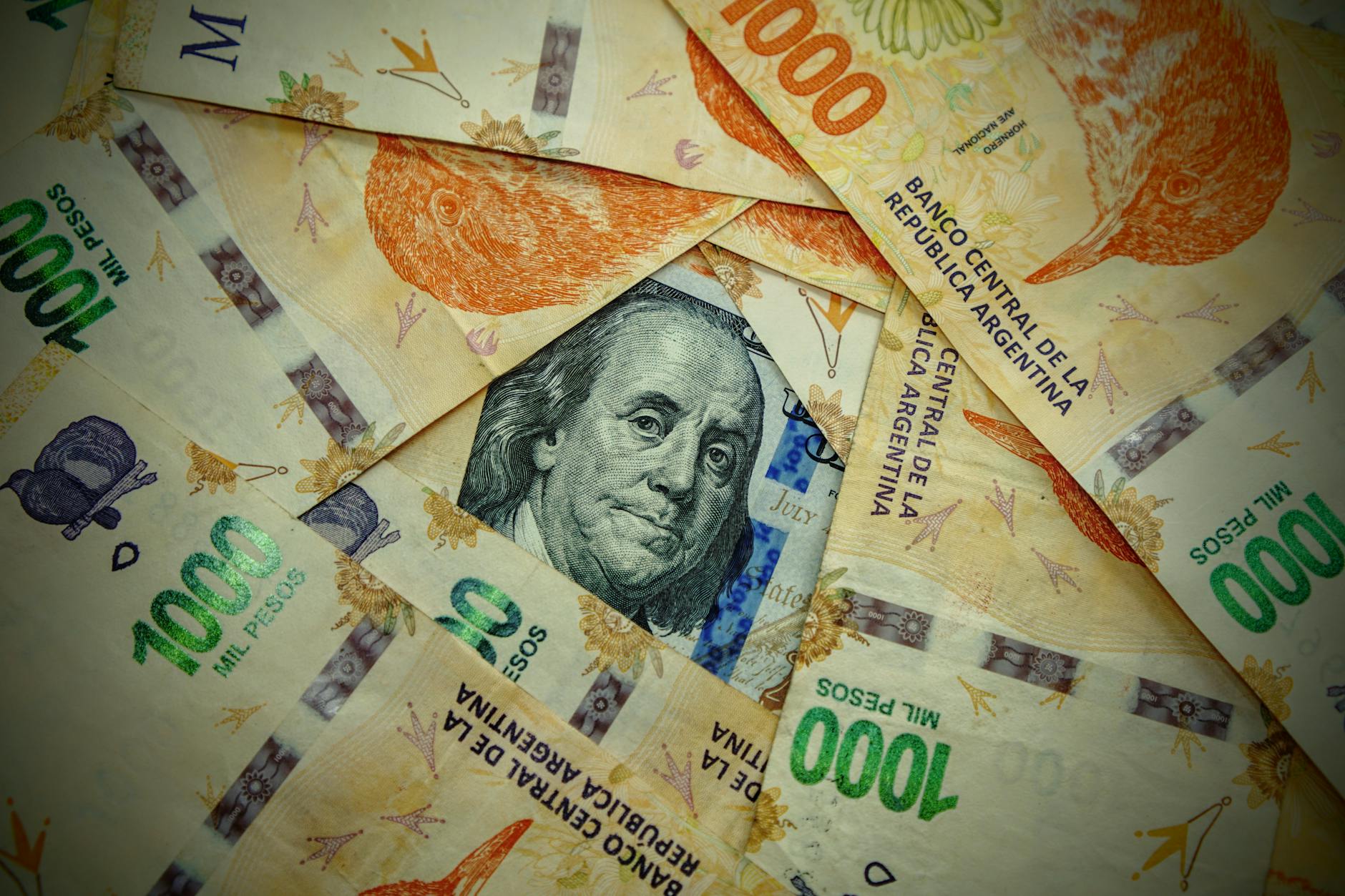 dollar among pesos from argentina